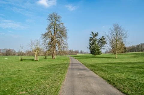 Pathway in a park in springtime Stock Photos