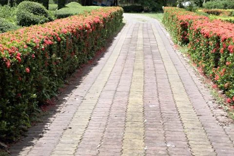 Pathway paved with bricks. Stock Photos