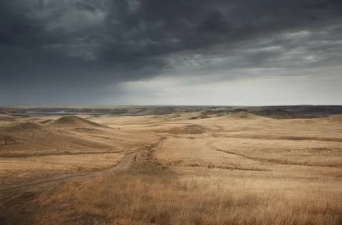 Pathway Stock Photos