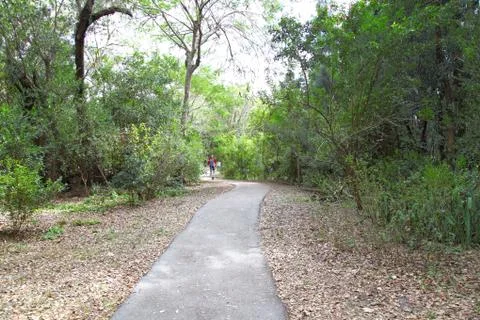 Pathway Stock Photos