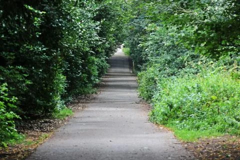 Pathway Stock Photos
