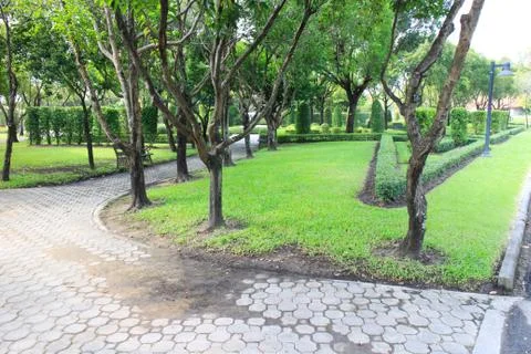 Pathway Stock Photos