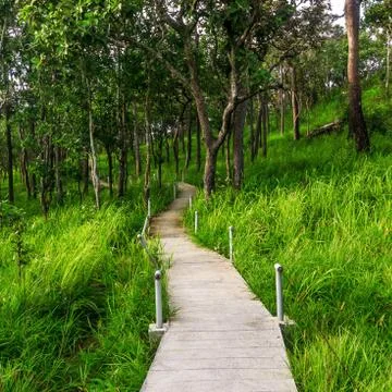 Pathway Stock Photos
