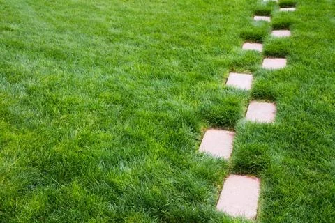 Pathway Stock Photos