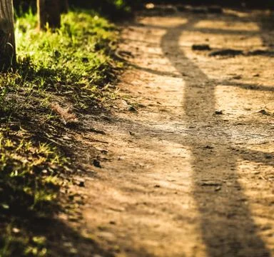 Pathway 库存照片