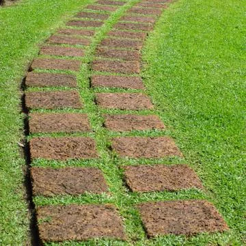 Pathway Stock Photos