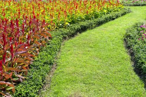 Pathway Stock Photos