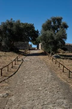 Pathway 写真素材