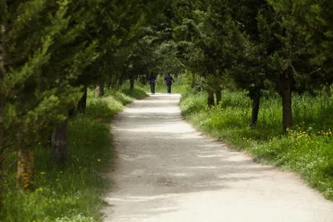 Pathway Stock Photos