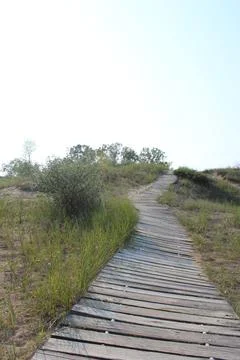 Pathway 스톡 사진