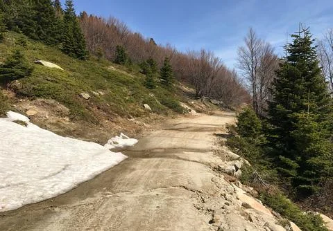 Pathway Stock Photos