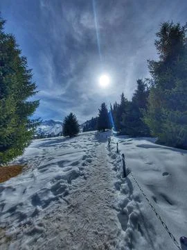 Pathway Stock Photos