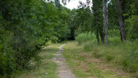 Pathway Stock Photos