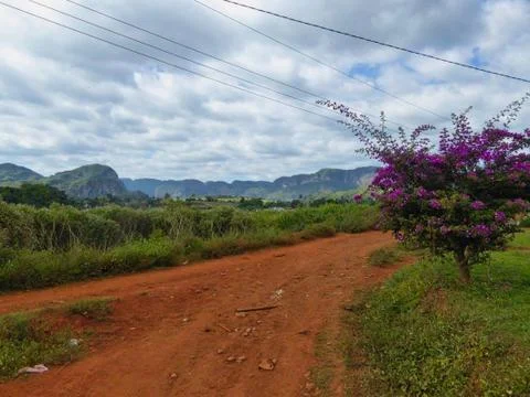 A pathway with red sand Stock Photos