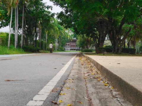 The pathway in republic park Stock Photos