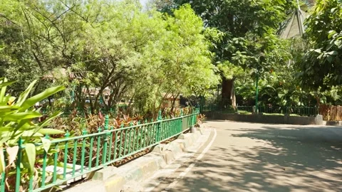 A pathway in a resort empty street moving camera ahead with tree around Stock Footage 265835208