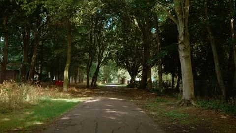 Pathway running through shaded city park in United Kingdom. Walking route Stock Footage 314266445