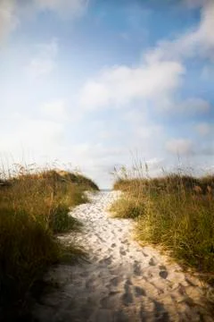 Pathway in sand dune to beach Stock Photos