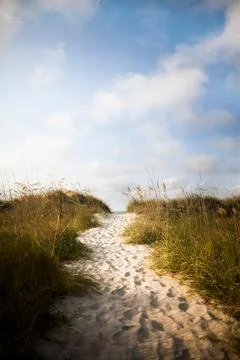 Pathway in sand dune to beach Stock Photos
