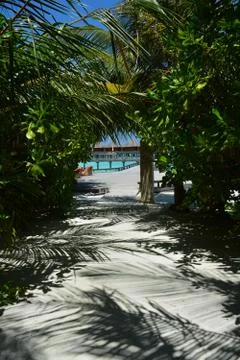 Pathway to the sea 写真素材