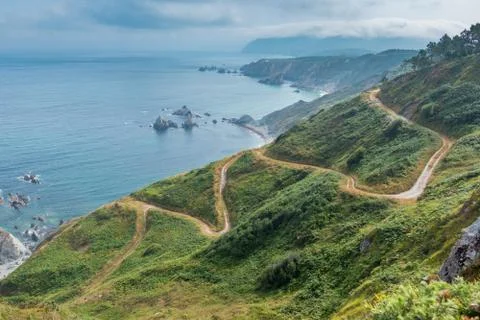 Pathway to the shore. Stock Photos