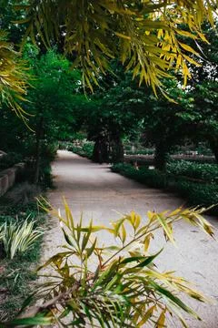 A pathway in spring garden in a shadow of green trees. Trimmed bushes Stock Photos