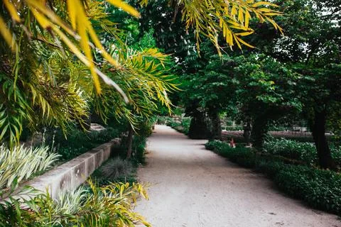 A pathway in spring garden in a shadow of green trees. Trimmed bushes and Stock Photos