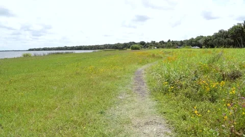 Pathway in state park Stock Footage 132142678