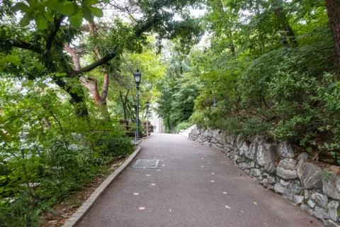 A pathway in summer 库存照片
