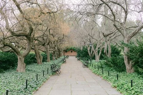 Pathway surrounded by trees and benches in a serene park during early springtime Foto stock