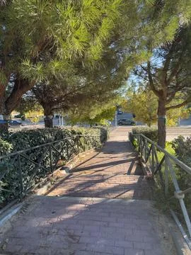 Pathway surrounded by trees and greenery in Madrid, Spain 写真素材