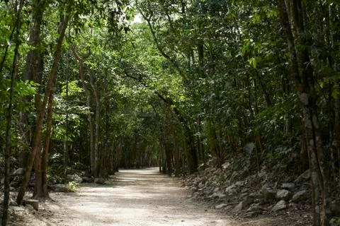 Pathway to the temple Stock Photos