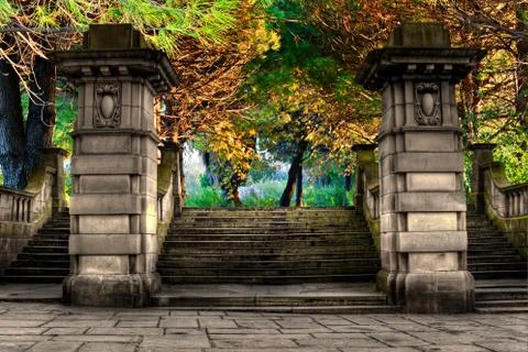 Pathway through colorful forest in fall/autumn Stock Photos