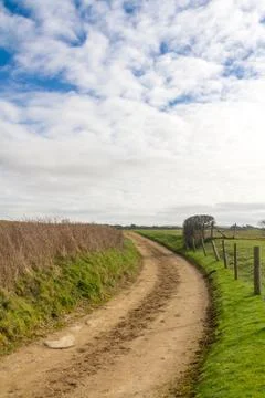 Pathway through countryside Stock Photos