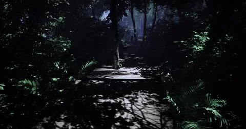 Pathway through a dark forest illuminated by moonlight at night Stock Illustration