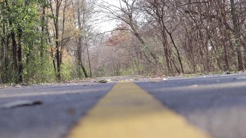 Pathway through forest Video stock 82625194