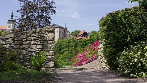 Pathway Through Garden Arch With Summer Flowers Stock Footage 313844907