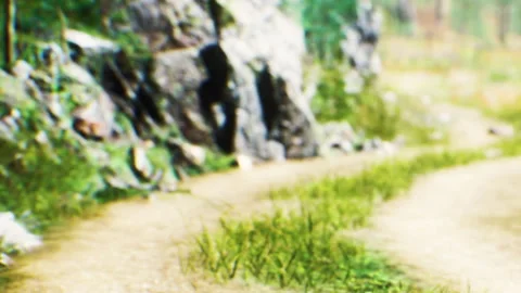 Pathway through a green area near a rocky landscape in the forest Stock Footage 341005949