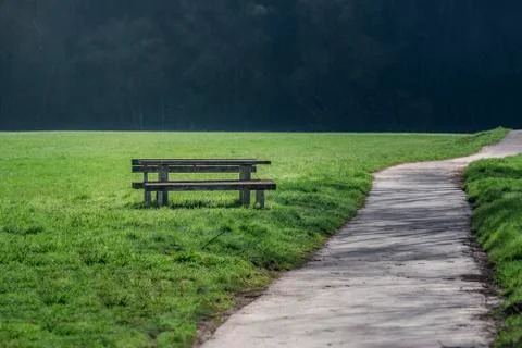 Pathway through a green meadow and a bench Stock Photos
