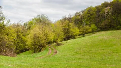 Pathway through the meadow Stock Photos