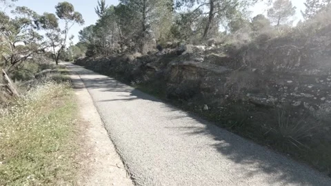 Pathway through nature with greenery lining Stock Footage 301280957