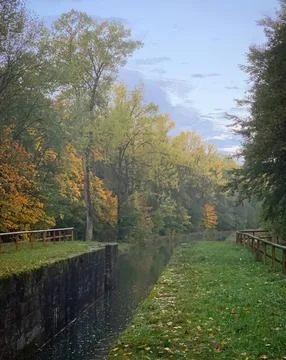 Pathway through a park with trees and greenery in fall Stock Photos