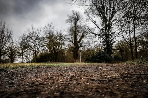 Pathway through a quiet park on a cloudy day with trees and a hint of natur.. Stock Photos