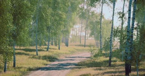 Pathway through a serene forest with sunlight filtering through trees Stock Illustration