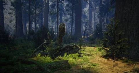 Pathway through a serene forest with towering trees and lush greenery Stock Illustration