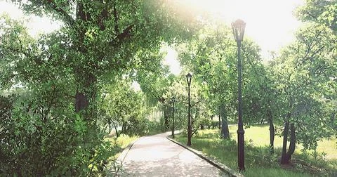 Pathway through a sunny park surrounded by lush greenery and light Ilustração Stock