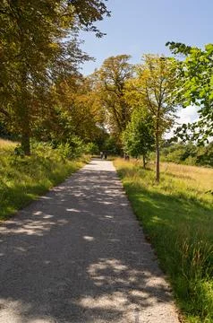 Pathway Through the Trees Stock Photos