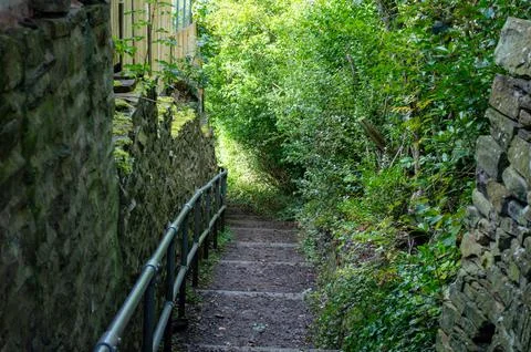 Pathway through woods Foto stock