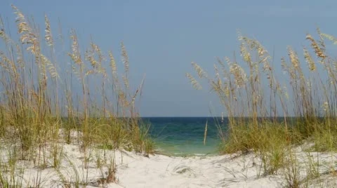 Pathway Thru Dunes Stock Footage 11497965