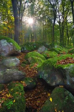 A pathway trough some rocks and trees Stock Photos